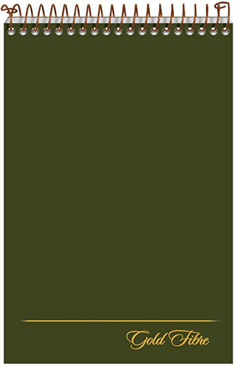 Ampad Gold Fibre Steno Book, 6" x 9", Gregg Rule, Green Cover, 100 Sheets (20-806R)