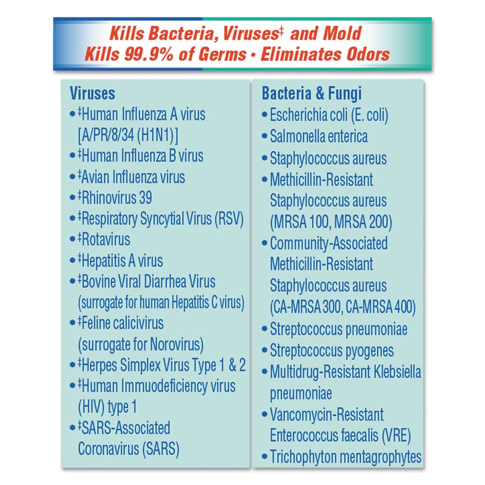 Clorox Disinfectant Spray. 19 Ounce. 1 Each