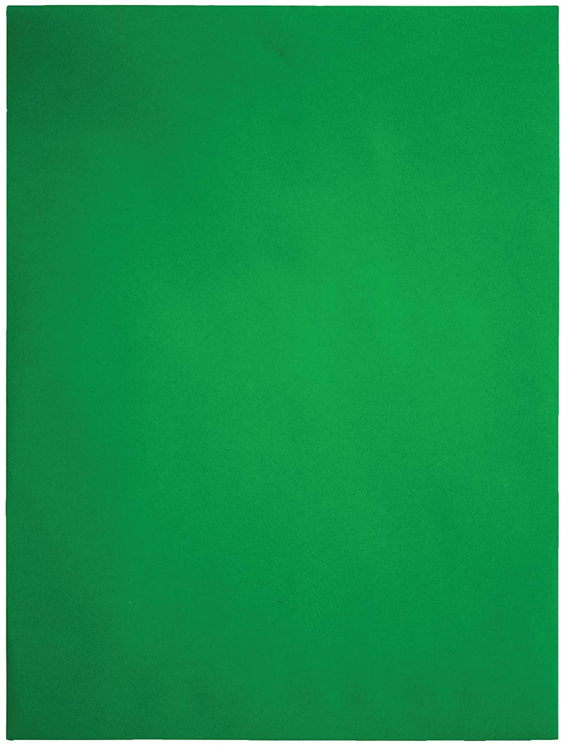 Quality Park Clasp Envelopes, 9 x 12 inches, Green, Pack of 10 (38735)