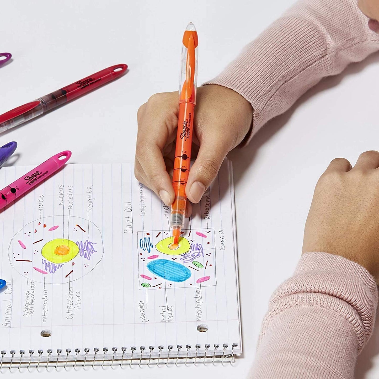 SAN1754466 - Sharpie Accent Liquid Pen Style Highlighter. 1 Dozen