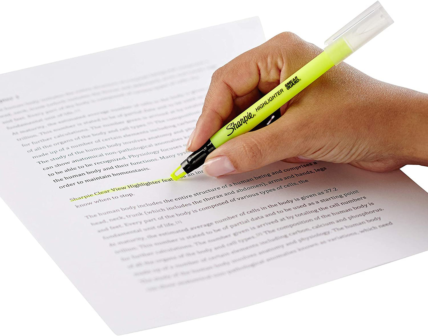 Sharpie Clear View Highlighter Stick. Yellow. Box of 12 (1950447)